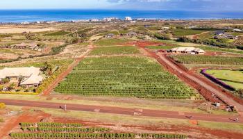 821 Aina Mahiai St Lot 23 Lahaina, Hi vacant land for sale - photo 4 of 11