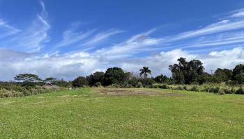 821 Auwaha St Unit A Haiku, Hi vacant land for sale - photo 5 of 7