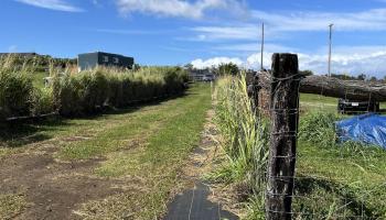 821 Auwaha St Unit A Haiku, Hi vacant land for sale - photo 6 of 7