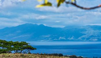 830 Mahana Ridge Pl 50 Lahaina, Hi vacant land for sale - photo 1 of 33