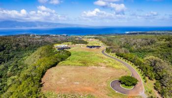 830 Mahana Ridge Pl 50 Lahaina, Hi vacant land for sale - photo 3 of 33