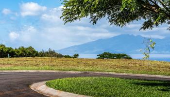 830 Mahana Ridge Pl 50 Lahaina, Hi vacant land for sale - photo 6 of 33