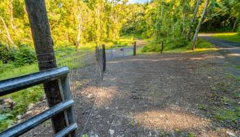 836 Nahiku Rd  Hana, Hi vacant land for sale - photo 4 of 30