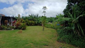 845  Puapana Pl , Makawao/Olinda/Haliimaile home - photo 6 of 6
