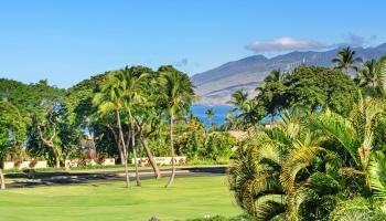 85  Hale Alii Pl Wailea, Wailea/Makena home - photo 4 of 43