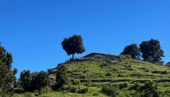 85 Kaui Pl  Kula, Hi vacant land for sale - photo 4 of 7