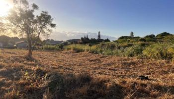 850 Makani Rd  Makawao, Hi vacant land for sale - photo 3 of 12