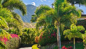 858  Kai Hele Ku St Launiupoko, Lahaina home - photo 5 of 50