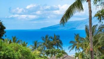 859  Kai Hele Ku #a St ,  home - photo 1 of 25