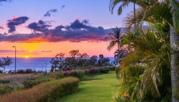 86  Poailani Pl Wailea, Wailea/Makena home - photo 2 of 49