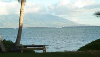 8778  Kamehameha V Hwy Pukoo, Molokai home - photo 2 of 30