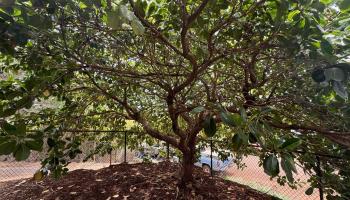 89  Hoaikane St , Molokai home - photo 6 of 28