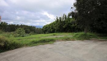 90 Anuenue Pl  Kula, Hi vacant land for sale - photo 3 of 30