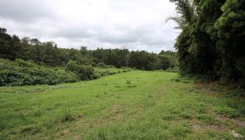 90 Anuenue Pl  Kula, Hi vacant land for sale - photo 5 of 30