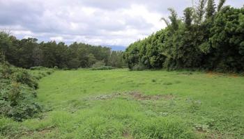 90 Anuenue Pl  Kula, Hi vacant land for sale - photo 6 of 30