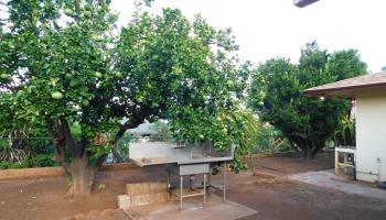 907  Laalo Pl Princess Nahienaena, Lahaina home - photo 4 of 10