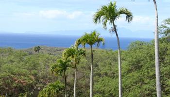 91  Noho Lio Rd , Molokai home - photo 2 of 27