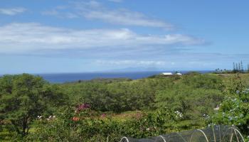 91  Noho Lio Rd , Molokai home - photo 4 of 27