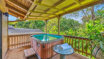 925  Kaupakalua Rd , Haiku home - photo 6 of 50