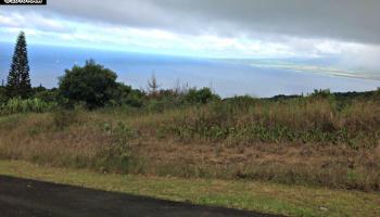 93 Lahaole Pl MCR 21 Wailuku, Hi vacant land for sale - photo 3 of 10