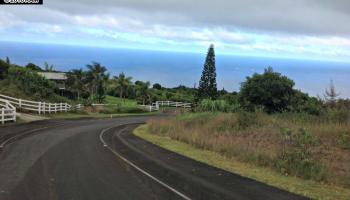 93 Lahaole Pl MCR 21 Wailuku, Hi vacant land for sale - photo 4 of 10