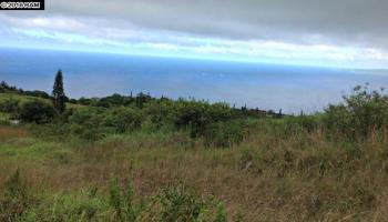 93 Lahaole Pl MCR 21 Wailuku, Hi vacant land for sale - photo 6 of 10