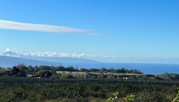93 Piiholo Rd  Makawao, Hi  vacant land - photo 1 of 8