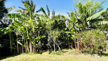 931  Ehoeho St , Makawao/Olinda/Haliimaile home - photo 3 of 5