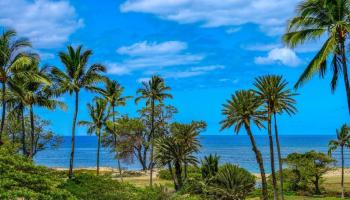 Kauhale Makai condo # 421, Kihei, Hawaii - photo 4 of 35