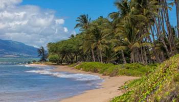 Kauhale Makai condo # 624, Kihei, Hawaii - photo 4 of 30