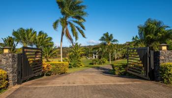 94  Keoawa Pl Honolua Ridge, Kapalua home - photo 3 of 50