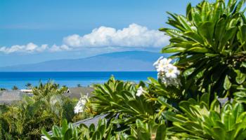 94  Laukahi St , Kihei home - photo 5 of 50