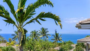 95  Poailani Pl Wailea, Wailea/Makena home - photo 2 of 50