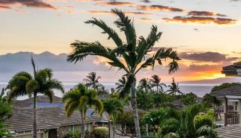 95  Poailani Pl Wailea, Wailea/Makena home - photo 5 of 50