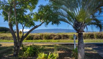 955  Haliimaile Rd , Makawao/Olinda/Haliimaile home - photo 2 of 30