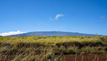 955  Haliimaile Rd , Makawao/Olinda/Haliimaile home - photo 3 of 30