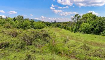 973 Hana Hwy  Hana, Hi vacant land for sale - photo 6 of 37