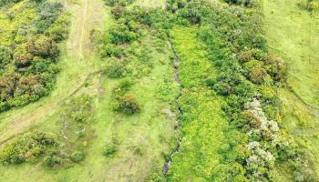 973 Hana Hwy   - photo 4 of 17