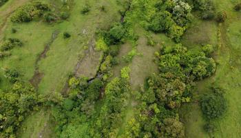 973 Hana Hwy   - photo 6 of 17