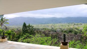 974  Lekeona Loop , Wailuku home - photo 5 of 50