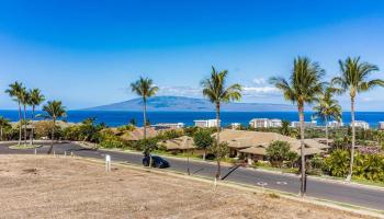975 Anapuni Pl Lahaina, Hi 96761 vacant land - photo 3 of 14 975 Anapuni Pl Lahaina, Hi 96761 vacant land - photo 3 of 14