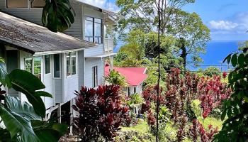 979  Hana Hwy Hana, Hana home - photo 2 of 34