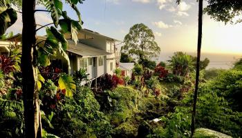 979  Hana Hwy ,  home - photo 1 of 25