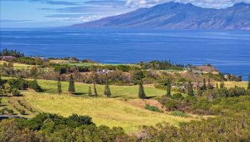 98 Keoawa Pl 8 Lahaina, Hi vacant land for sale - photo 3 of 44