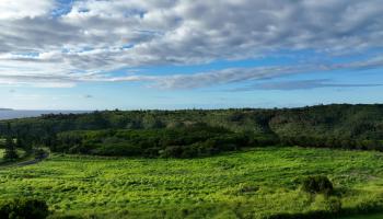 98 Keoawa Pl Lahaina, Hi 96761 vacant land - photo 5 of 19