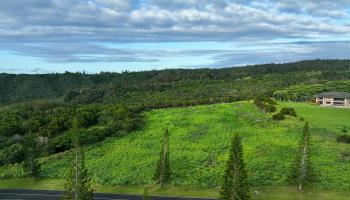 98 Keoawa Pl  Lahaina, Hi vacant land for sale - photo 6 of 19