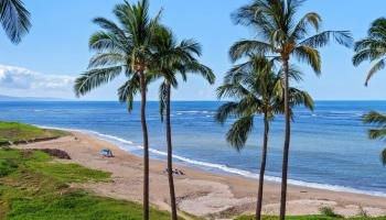 99  Honuea Pl Honu Alahele, Kihei home - photo 4 of 50