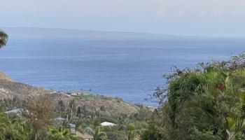 991 Unit A Kai Hele Ku Pl 037 Lahaina, Hi vacant land for sale - photo 3 of 19