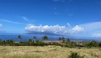 991 Unit A Kai Hele Ku Pl 037 Lahaina, Hi vacant land for sale - photo 4 of 19