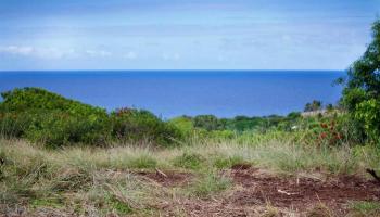 994 N Honokala Rd  , Hi vacant land for sale - photo 2 of 20